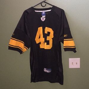 Troy Palamalu Stitched NFL Jersey